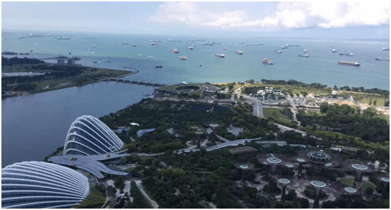 记新利体育管理进步奖获得者新马六天游 记新利体育管理进步奖获得者新马六天游